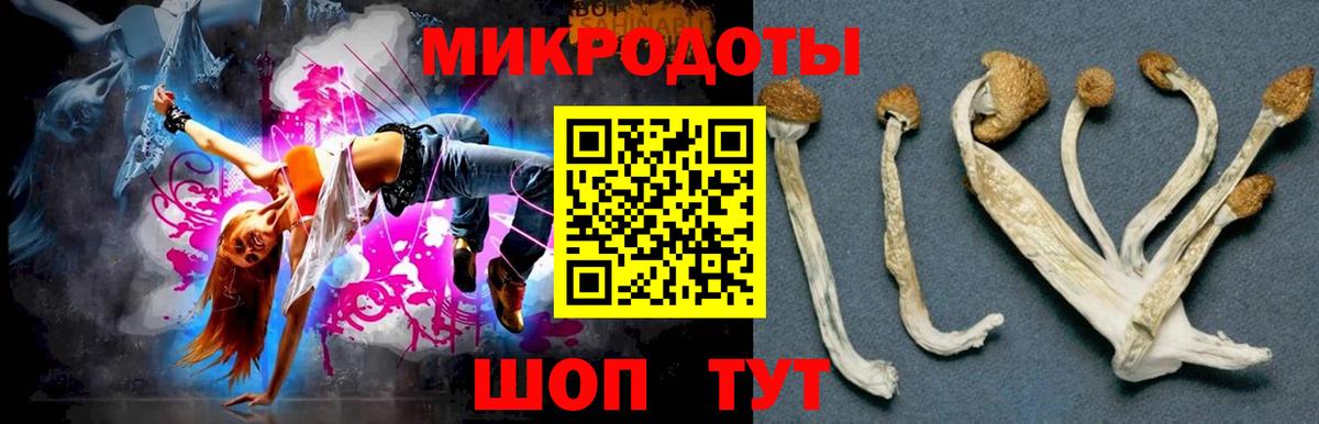 Воскресенск  Псилоцибиновые грибы Magic Shrooms  Вход с VPN  Псилоцибиновые грибы Psilocybine cubensis 