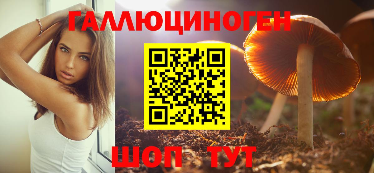 Псилоцибиновые грибы Psilocybe Воскресенск
